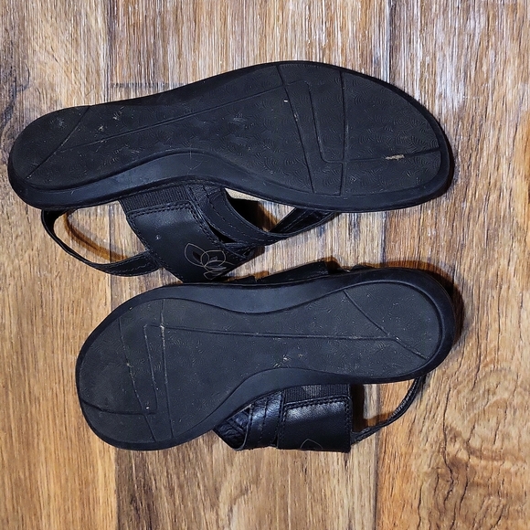 EARTH ORIGINS - Picture 4 of 4